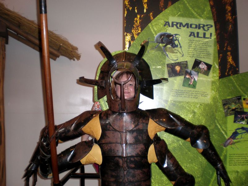Bugs-52.JPG