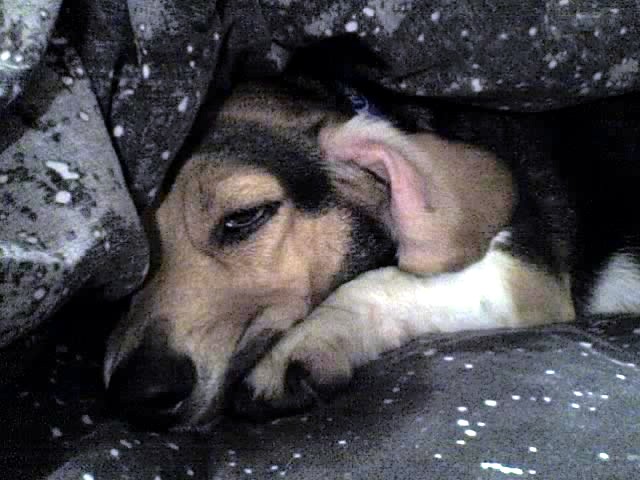 01-26-07_1654.jpg