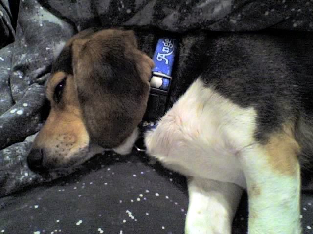 01-26-07_1656.jpg