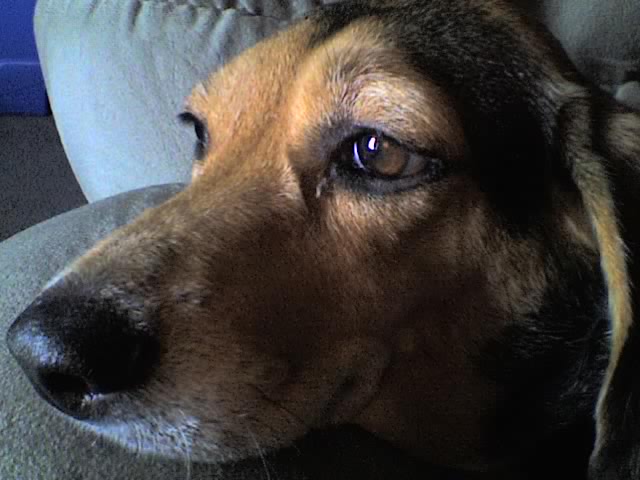 10-10-06_1622.jpg