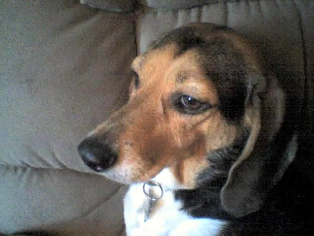 10-11-06_1457.jpg