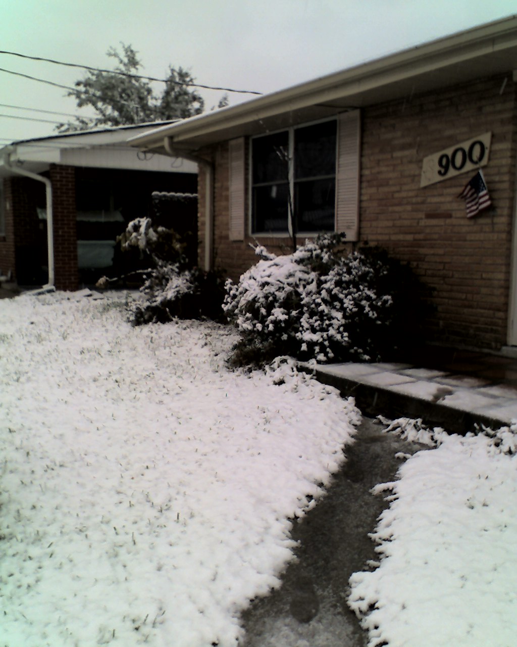 12-11-08_0951.jpg