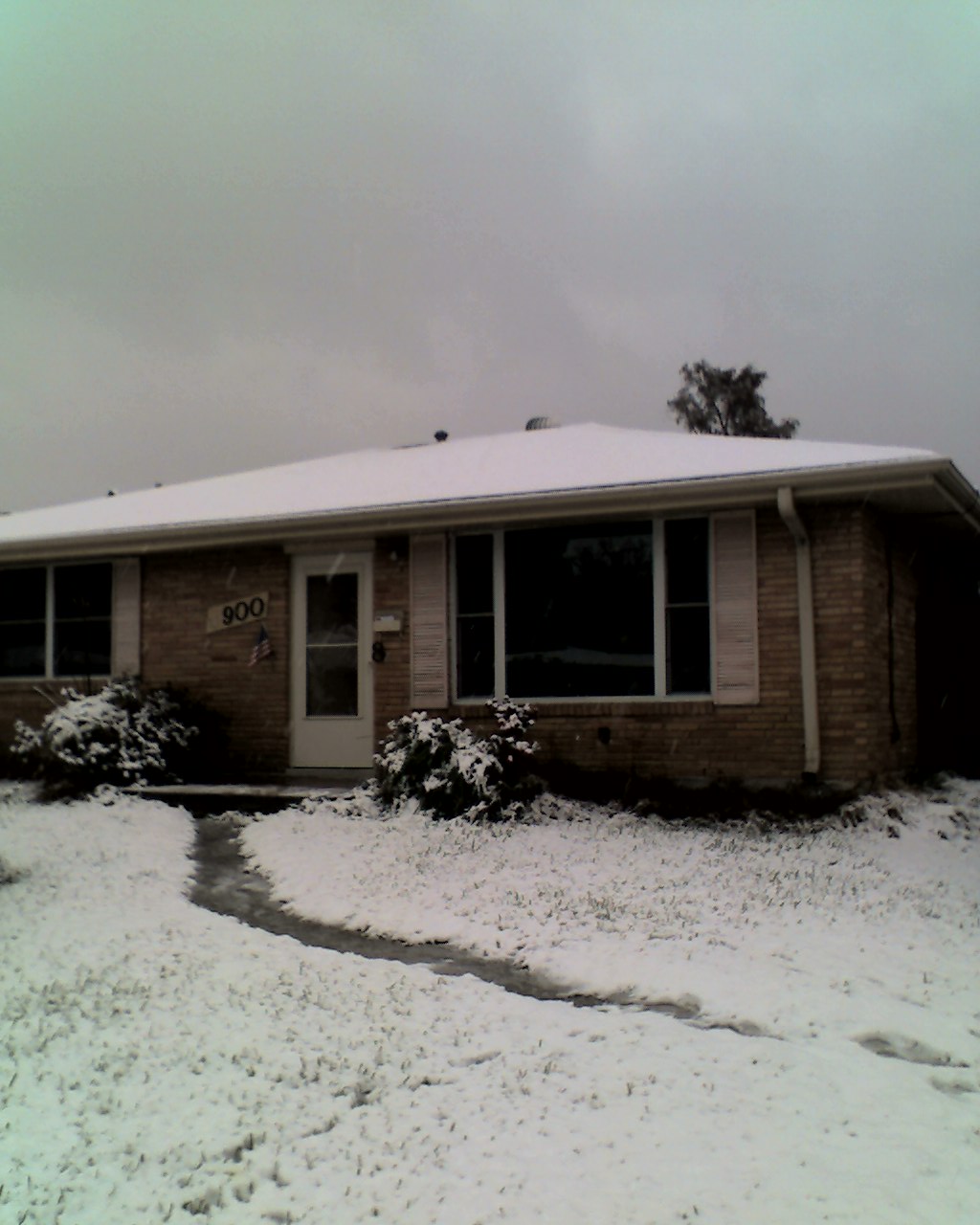 12-11-08_0956.jpg