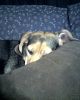 01-13-08_1805.jpg