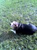 11-06-08_1452.jpg