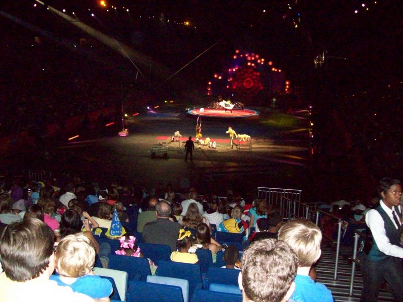 Circus-13.JPG