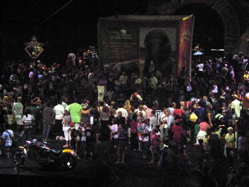 Circus-16.JPG