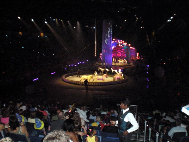 Circus-37.JPG
