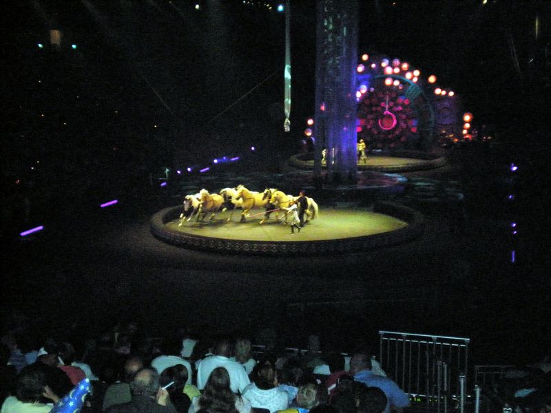 Circus-40.JPG