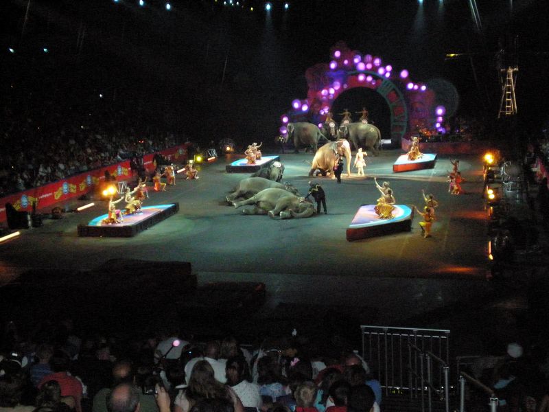 Circus-82.JPG