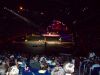 Circus-14.JPG