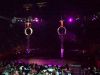 Filename=Circus-72.JPG
Filesize=81KiB
Dimensions=800x600
Date added=Jul 22, 2010 Circus-72.JPG