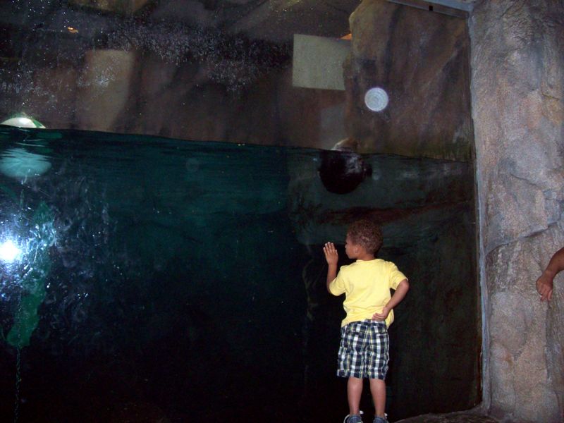 100_1155.JPG