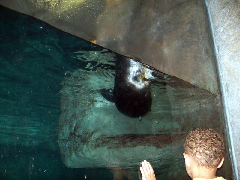 100_1156.JPG