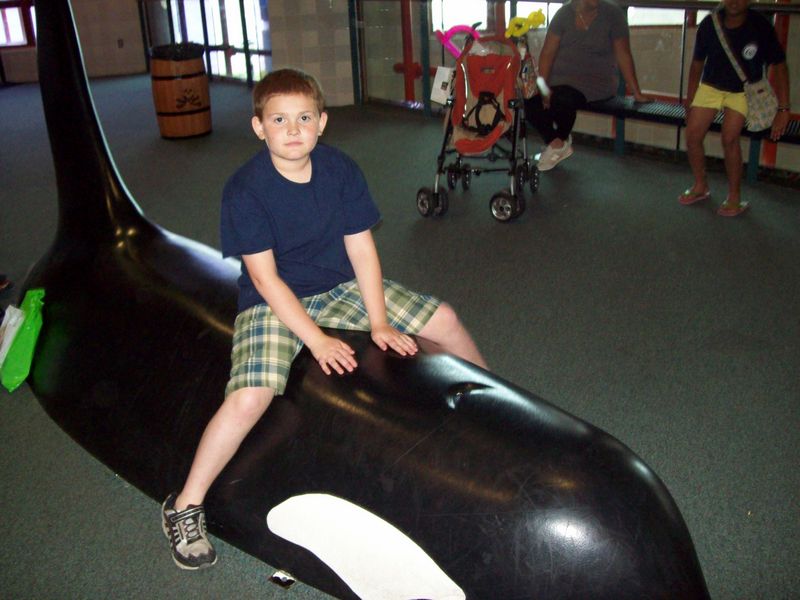 100_1164.JPG