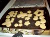100_0559.JPG