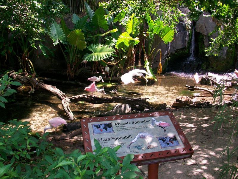 FH000109.JPG