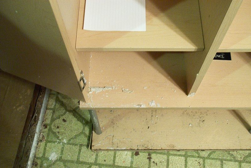 xIM001378.jpg