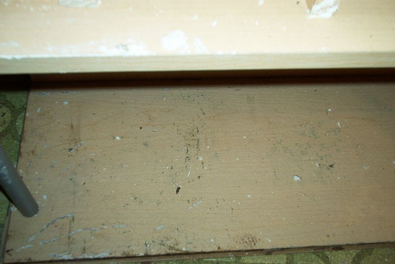 xIM001380.jpg