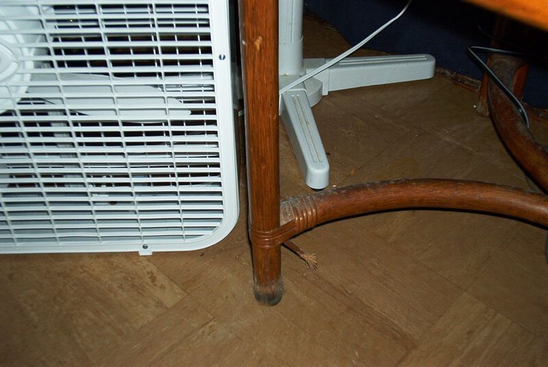 xIM001410.jpg