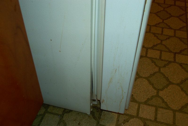 xIM001412.jpg