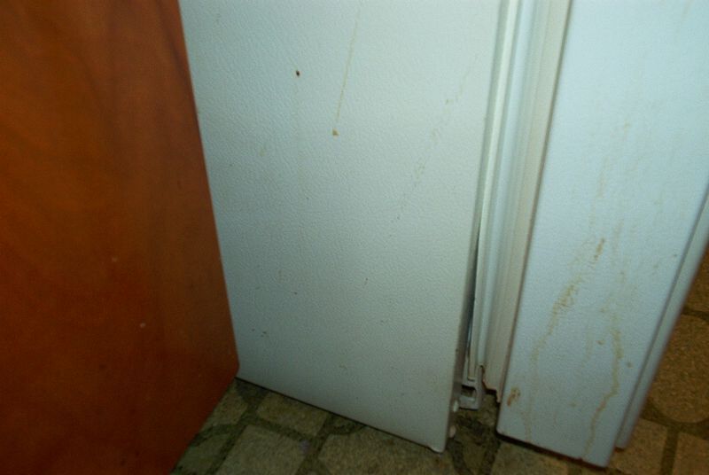 xIM001413.jpg