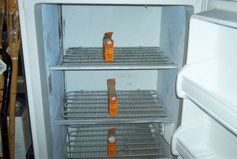 xIM001419.jpg