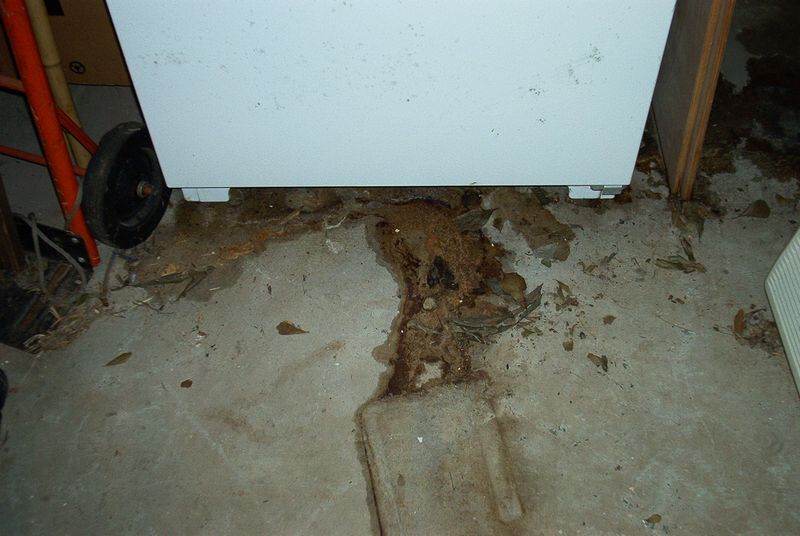 xIM001420.jpg
