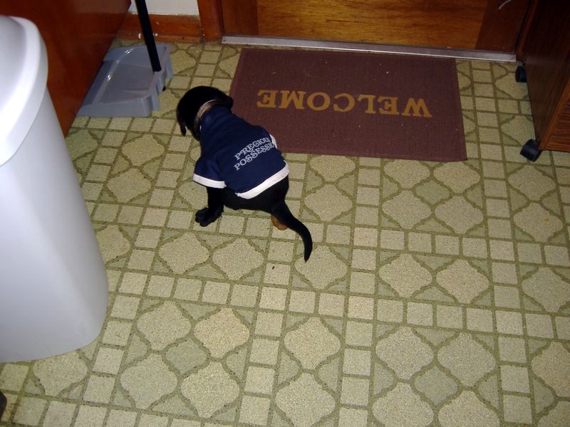 xDSCF0245.JPG