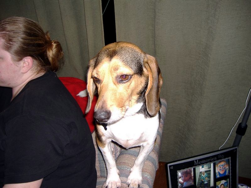 xDSCF0264.JPG