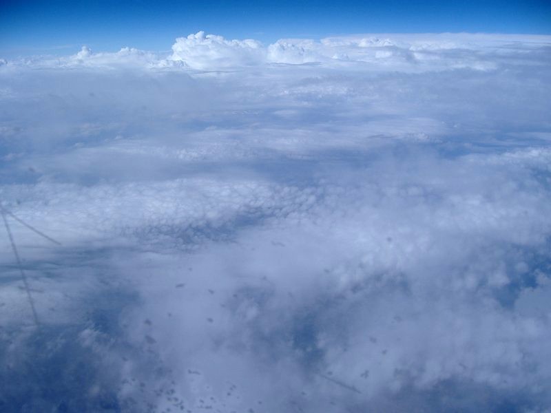 x_DSCF0879.JPG