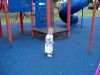 DSCF2235.JPG