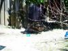 JBDay-070.JPG
