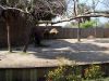 100_0795.JPG