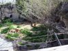 100_0801.JPG