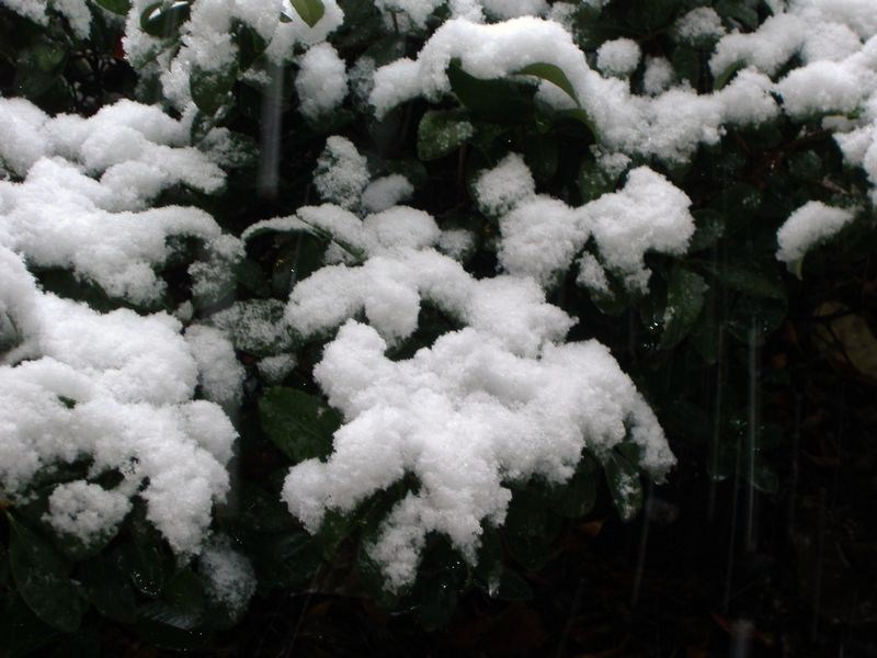 DSCF3115.JPG