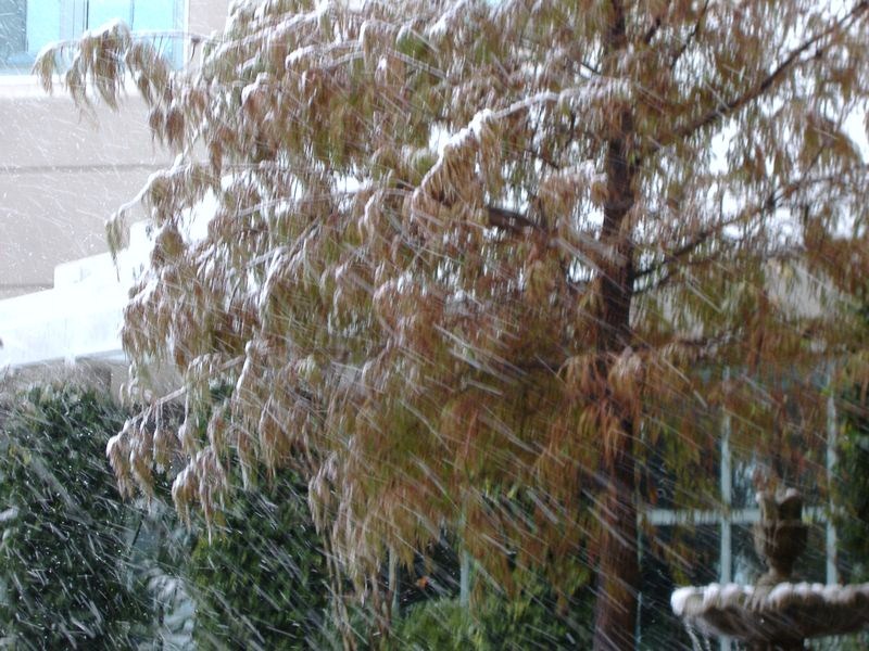 DSCF3121.JPG