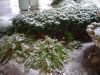 DSCF3106.JPG