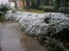 DSCF3108.JPG