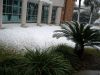 DSCF3118.JPG