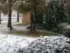 DSCF3119.JPG