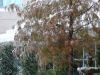 DSCF3121.JPG