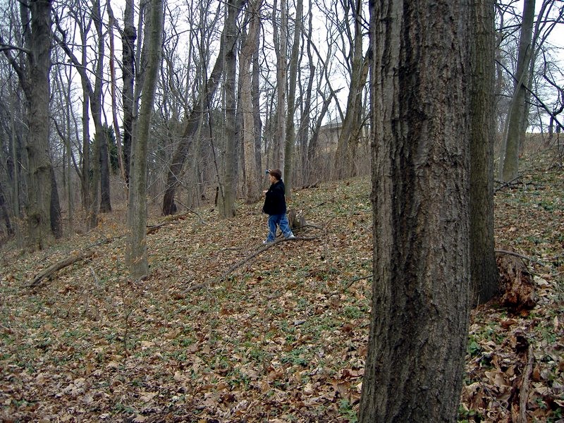 x_DSCF0812.JPG