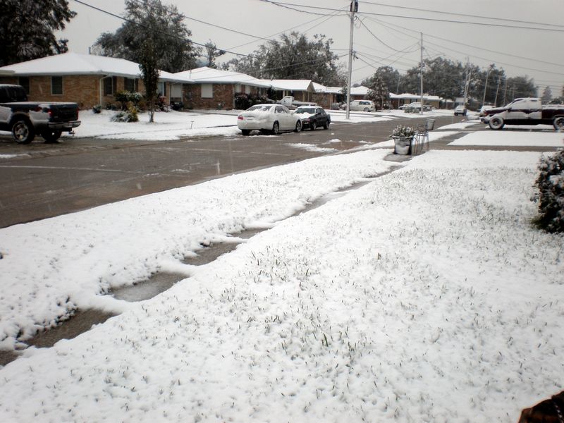 gal_PC110182.JPG