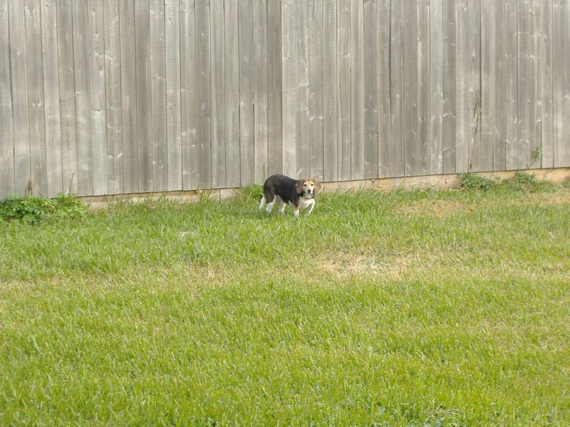 DSCF3143.JPG