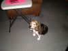 PC250177.JPG