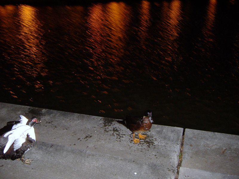 DSCF3209.JPG