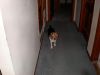 zoey2011-003.JPG