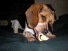 zoey2011-012.JPG
