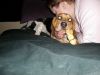 zoey2011-013.JPG